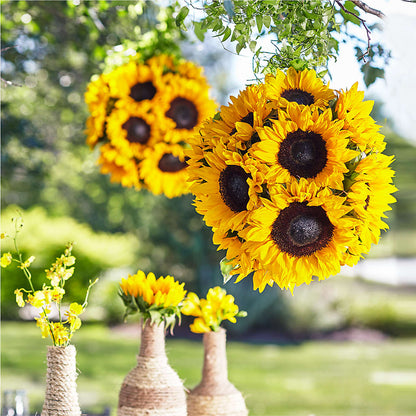 Sublime Garden Hanging Arrangement –  Floral Expressions, Auburn IL
